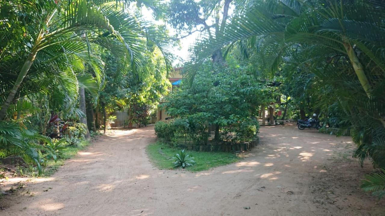 Leopard City Hostel Yala Tissamaharama Exterior foto